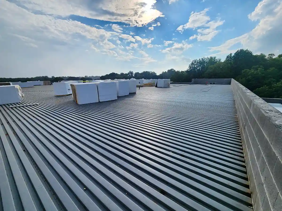 Roof Sky1
